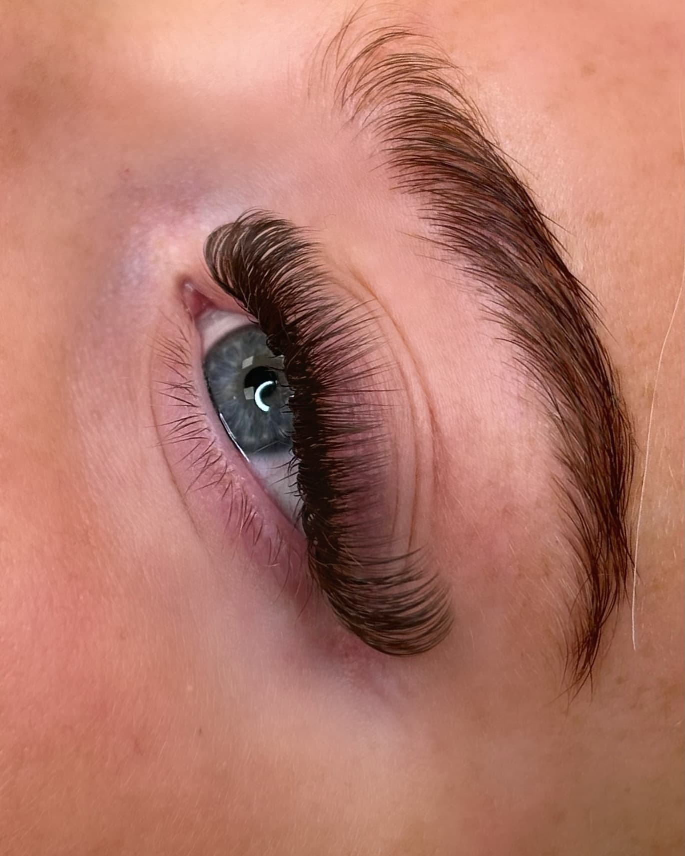 Lash extensions and brow close up